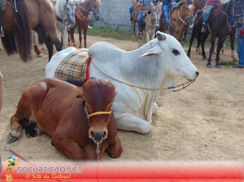 Cavalgada realizada em Nossa Senhora das Dores